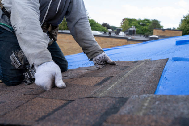 Best Flat Roof Repair Services  in Hancock, MD