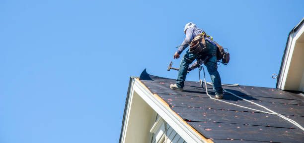 Roof Gutter Cleaning in Hancock, MD